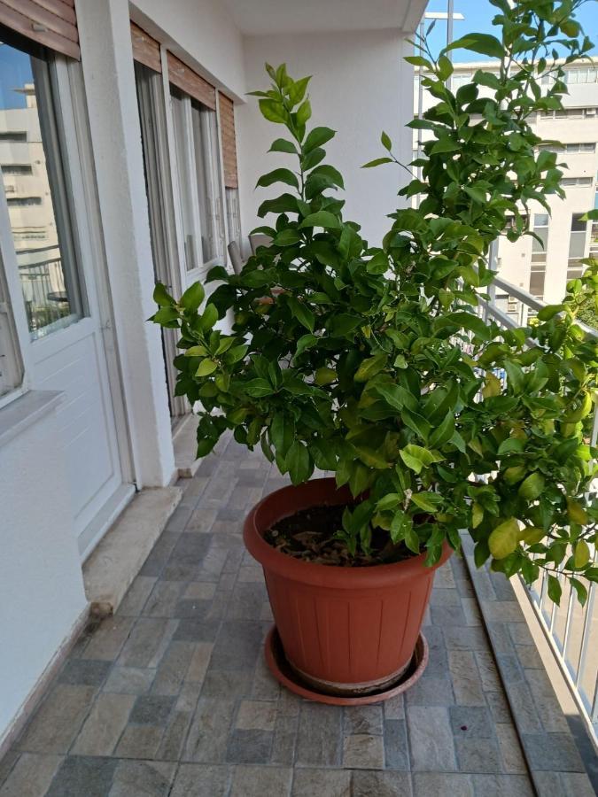 Room With Private Toilet And Terrace In City Center In Shared Apartment Сплит Экстерьер фото